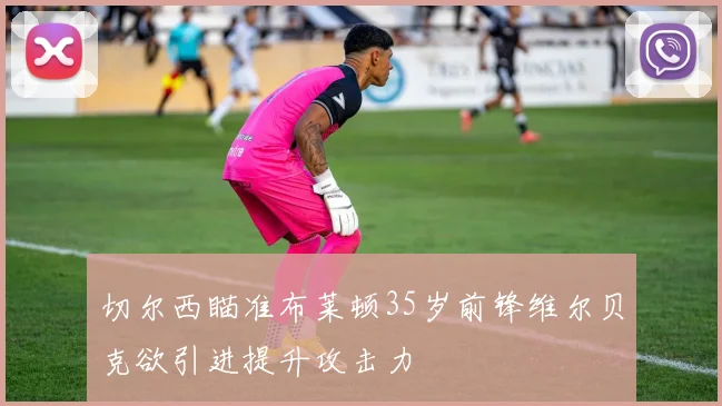 切尔西瞄准布莱顿35岁前锋维尔贝克欲引进提升攻击力