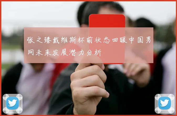 张之臻戴维斯杯前状态回暖中国男网未来发展潜力分析